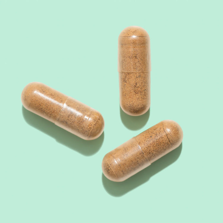 Cordyceps Mycelia CS-4 - Kidney Health Boost, 60 Capsules