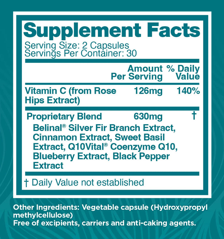 MetaBoost | Advanced Blood Sugar Balance Matrix