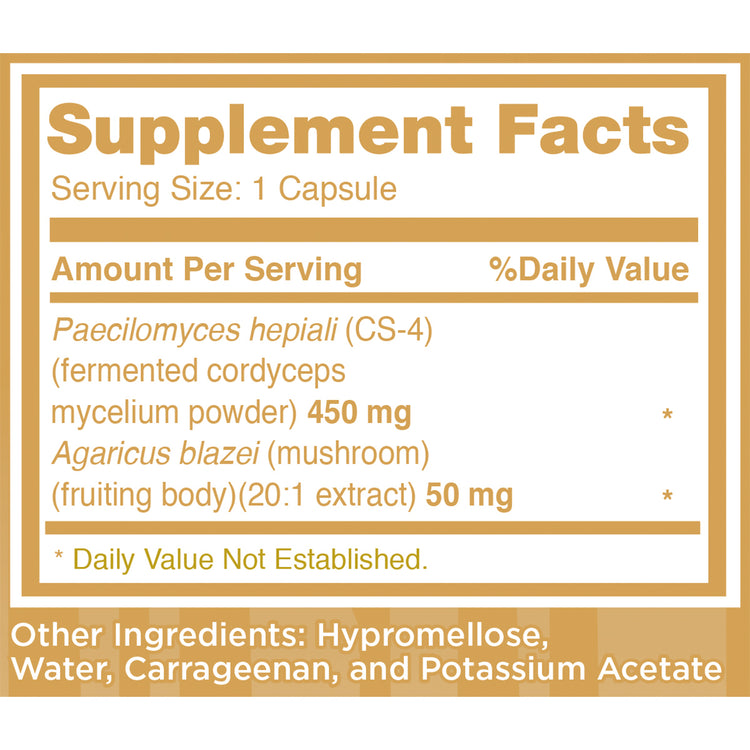 Cordyceps Mycelia CS-4 - Kidney Health Boost, 60 Capsules