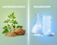 ashwagandha vs magnesium